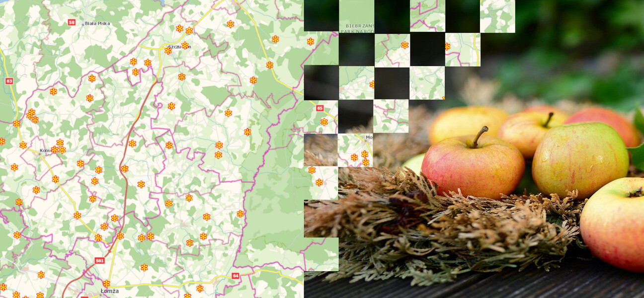 obraz z kawałkiem mapy i jabłkiem po prawej stronie