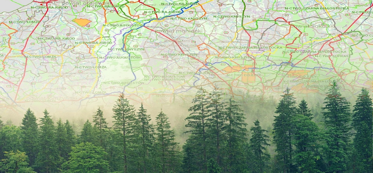 obraz z kawałkiem mapy i lasem na dole